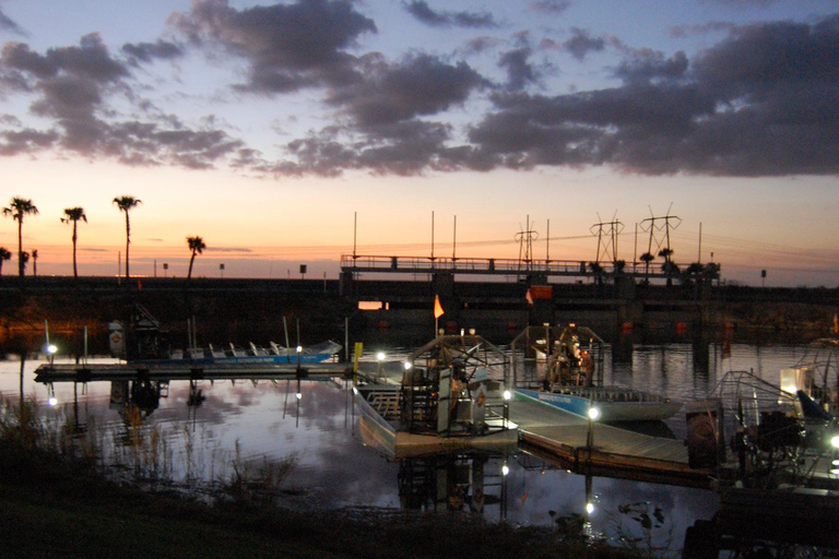 From Miami: Everglades Night Tour with Airboat Ride