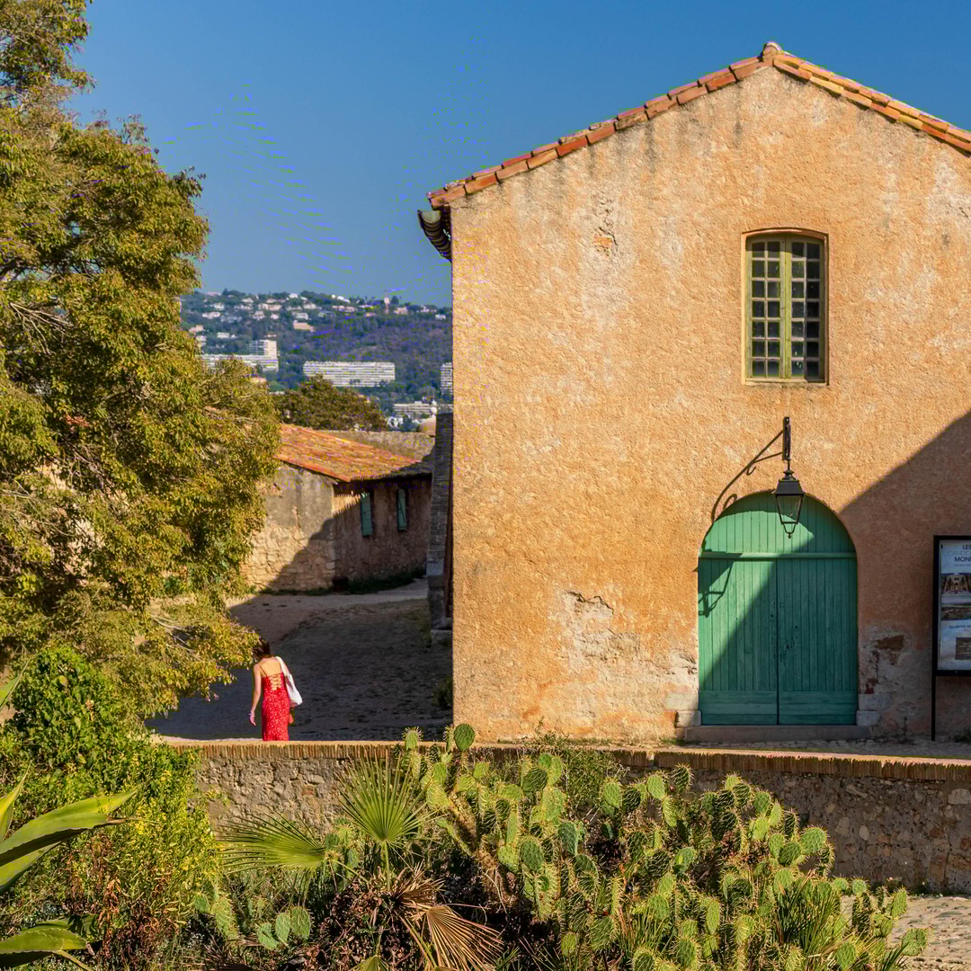 Galerie média