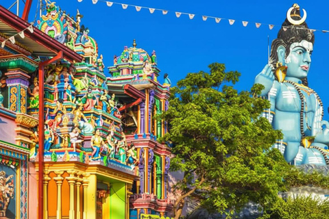 Sri Lanka: 7-Day Ramayana Tour with Hotels & Meals