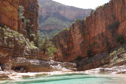 Agadir: Paradise Valley Early Morning Hike with Guide