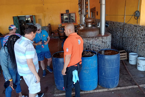 Mazatlan: Mezcal Factory Tour with Tasting and Lunch