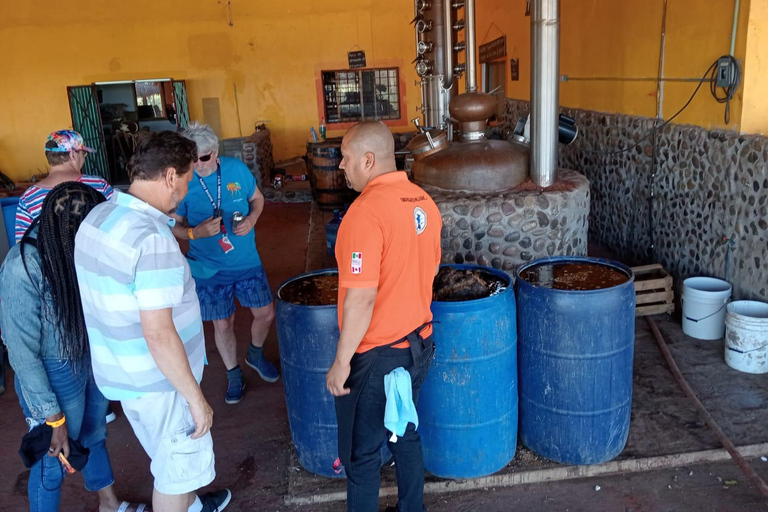 Mazatlan: Mezcal Factory Tour with Tasting and Lunch
