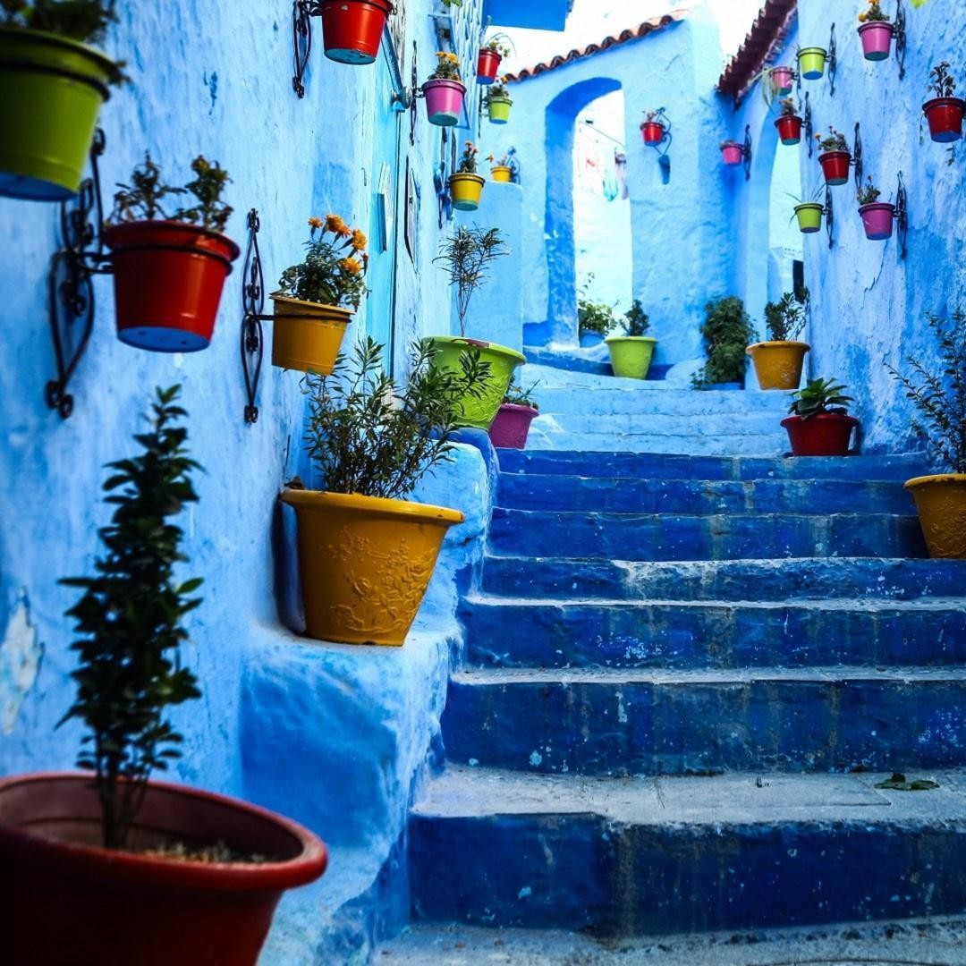 Au départ de Casablanca : 9 jours de temps forts au Maroc et aventure dans le désert