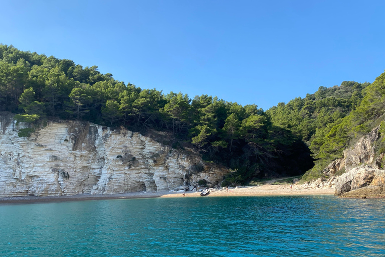 Vieste: Boat tour of the Gargano coast