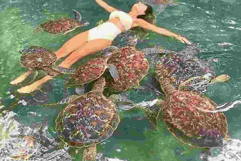 Mnemba Dolphin tour and sea turtles sanctuary with fruits Guided tour in without transfer