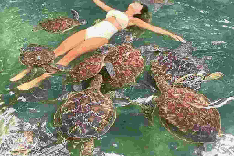 Mnemba Dolphin tour and sea turtles sanctuary with fruits Guided tour in without transfer