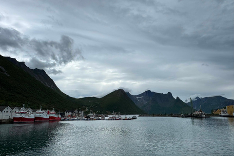 Tromso: SENJAtional: Sommaroy and Senja (7 people max) Tromso: One Day Trip to Senja