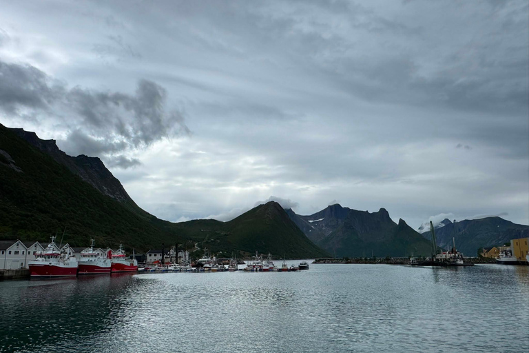 Tromso: SENJAtional: Sommaroy and Senja (7 people max) Tromso: One Day Trip to Senja