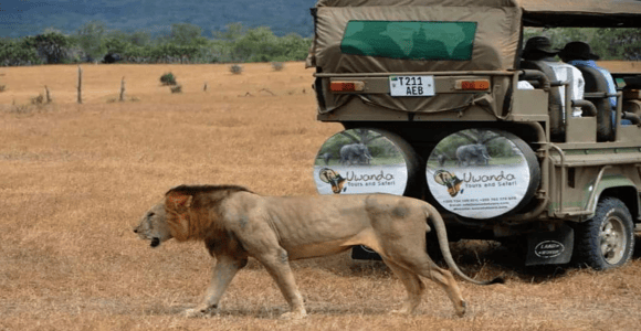 4-Day Zanzibar to Nyerere NP (Selous GR) Flying Package