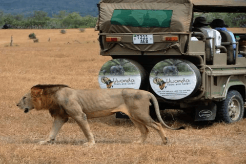 Pacote de voo de 4 dias de Zanzibar para Nyerere NP (Selous GR)