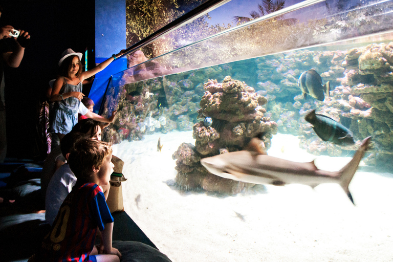 Mallorca: toegangsticket voor het Palma Aquarium met 3D-bioscoop