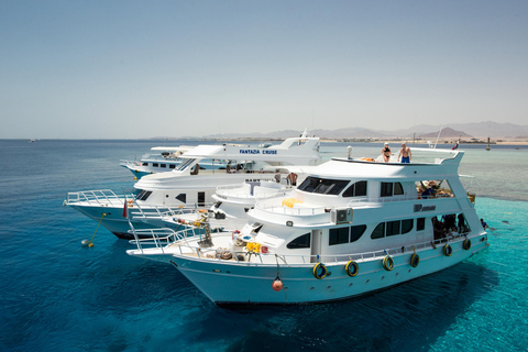 Sharm El Sheikh: Snorkeling at Ras Mohamed & White Island Small Group snorkeling trip - Lunch and soft Drinks included