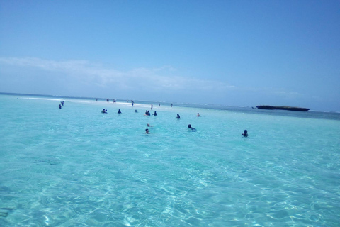 Diani: obserwacja delfinów i nurkowanie z rurką na wyspie Wasini