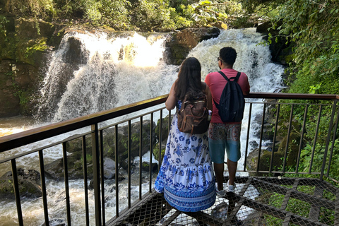 Essence of Iguazú: Full-Day Tour of Iguazú Falls (Brazil Side) and São João Trail Essence of Iguaçu: Full Day at Iguaçu Falls, Brazil, and São João Trail
