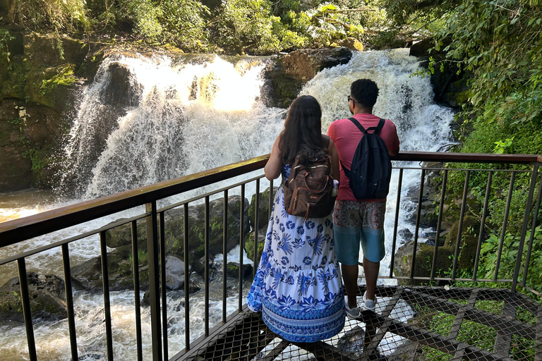 Essence of Iguazú: Full-Day Tour of Iguazú Falls (Brazil Side) and São João Trail Essence of Iguaçu: Full Day at Iguaçu Falls, Brazil, and São João Trail