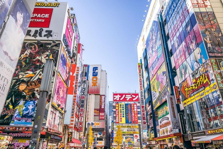 Akihabara Private Tour: Anime, Maid Café & Japanese Culture
