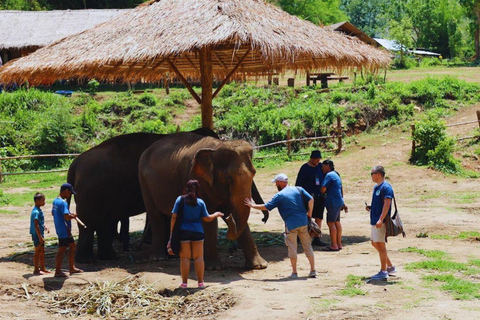 Chiang Mai: Full Day Living Green Elephant Sanctuary Chiangmai: Full Day Living Green Elephant Sanctuary