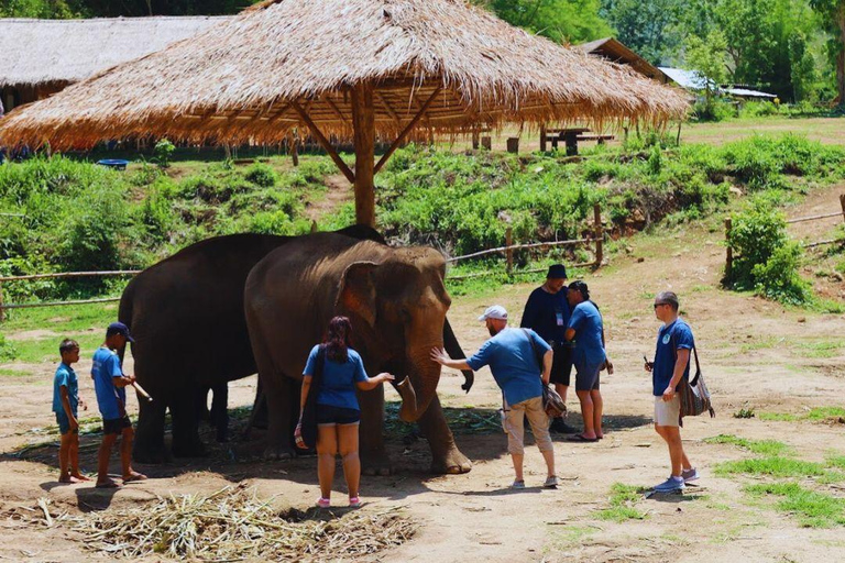 Chiang Mai: Full Day Living Green Elephant Sanctuary Chiangmai: Full Day Living Green Elephant Sanctuary