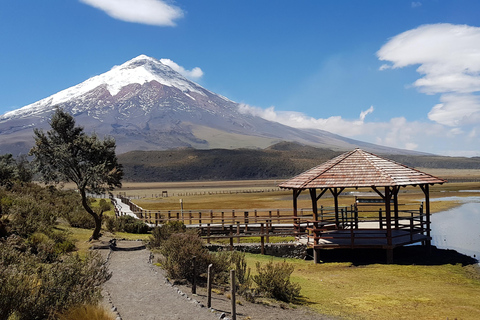 Top Quito Tour : Excursion d&#039;une journée au Cotopaxi et au Quilotoa