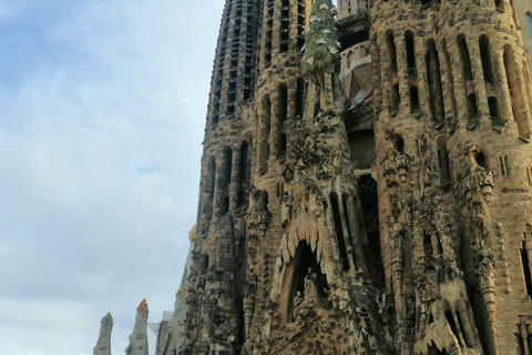 Barcelona: Sagrada Familia Tour met optionele toegang tot de torenGroepsreis