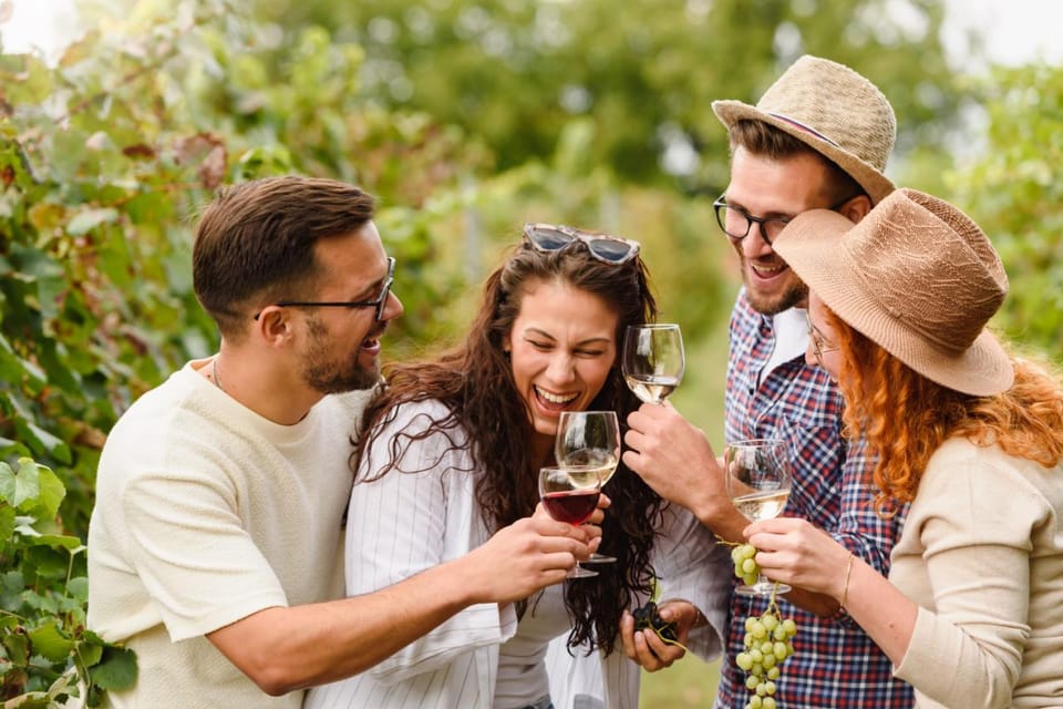 Grape Escapes Full-Day Wine Tour in Ithaca - Housity