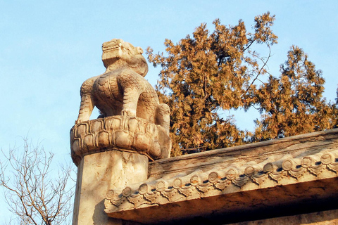 Tempio di Confucio, Palazzo di famiglia e Cimitero con pranzoTour a piedi