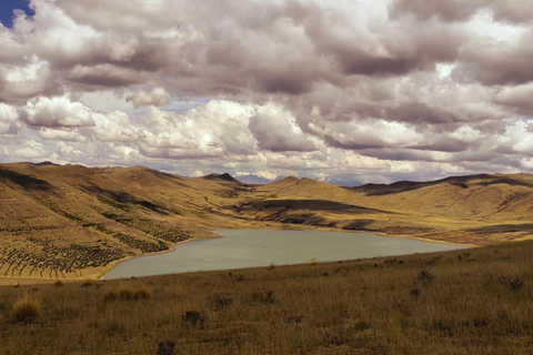 From Cusco: Sunset Llama Trek with Stargazing & Bonfire