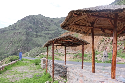 Van Arequipa: volledige dag Colca Canyon met drop-off in Puno