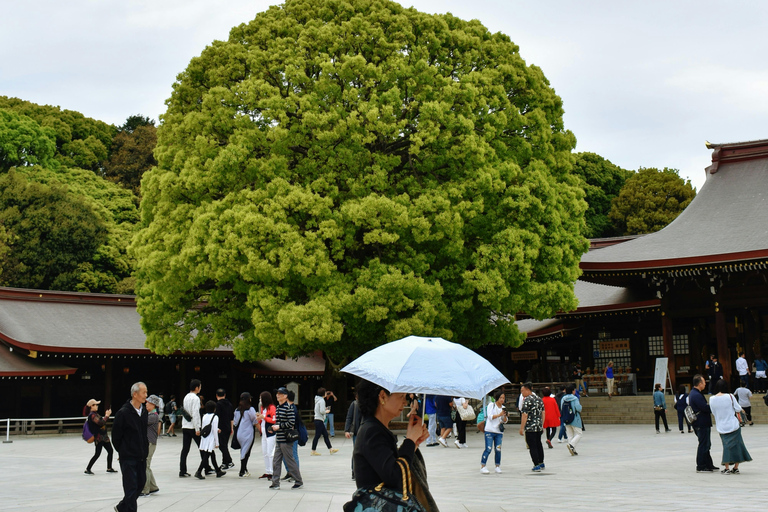 Tokyo: Tour privato personalizzabile della città con autistaAuto standard 5 pax!!!