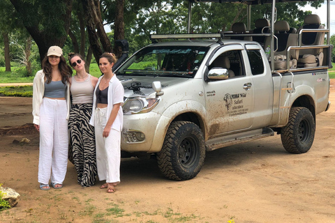 Bentota/Mirissa/Hiriketiya/Tangalle: Ella Scenic Day Tour Udawalawe Elephant Transit Home & Ella Day Tour