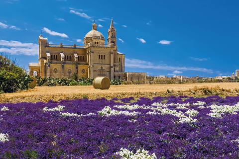 Gozo Full-Day Group Coach Tour including Lunch and Transfers With French-Sepaking Guide