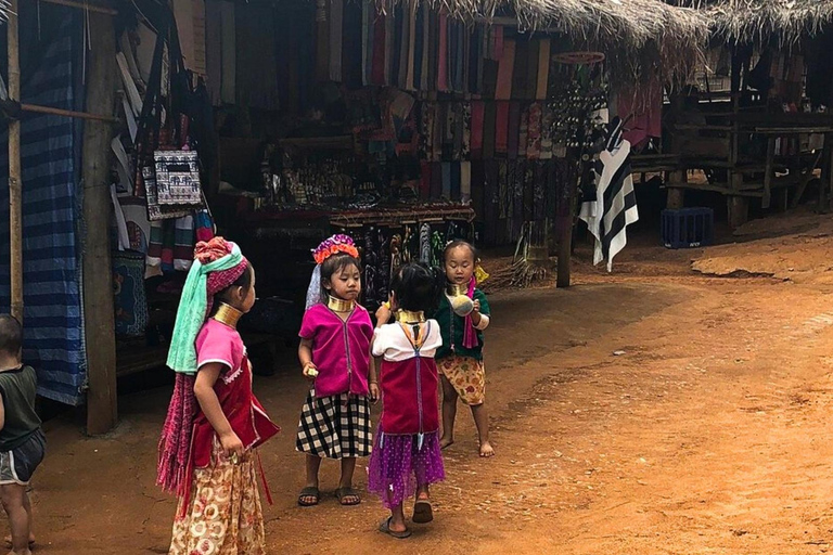 De Chiang Mai à Chiang Rai : Temples, Lalita Cafe et Hilltribe