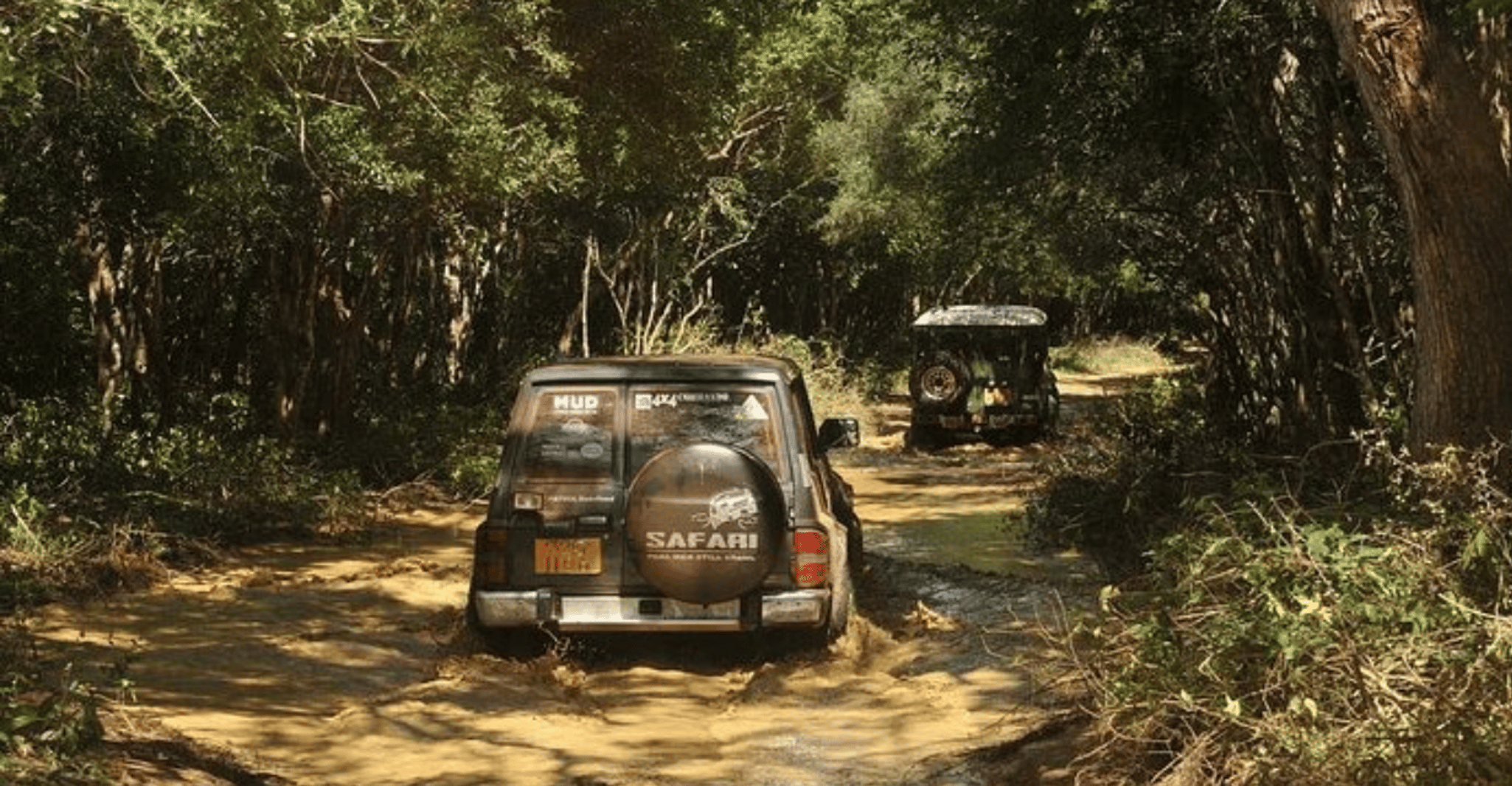 Wilpattu Wildlife Adventure, Day Safari with Picnic Meals - Housity