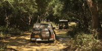 Wilpattu Wildlife Adventure, Day Safari with Picnic Meals - Housity