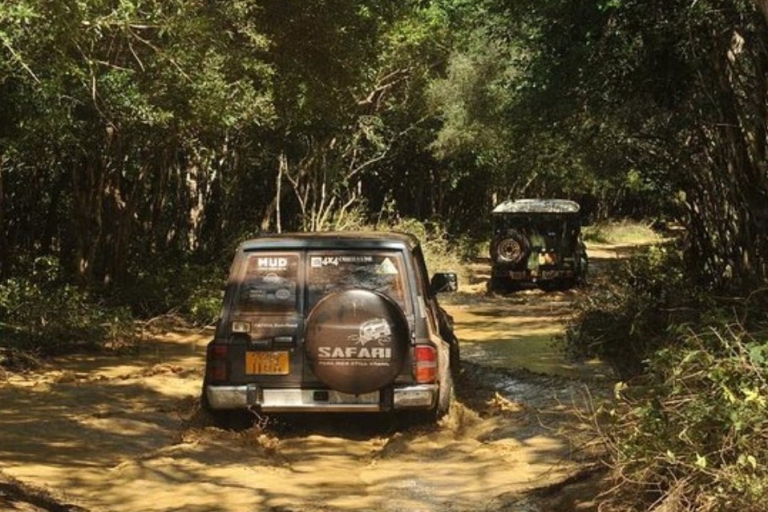 Wilpattu Wildlife Adventure: Day Safari with Picnic Meals Wilpattu Wildlife Adventure:Day Safari with Picnic Meals