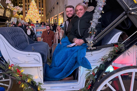 NYC: Central Park Christmas Lights Horse-Drawn Carriage Ride