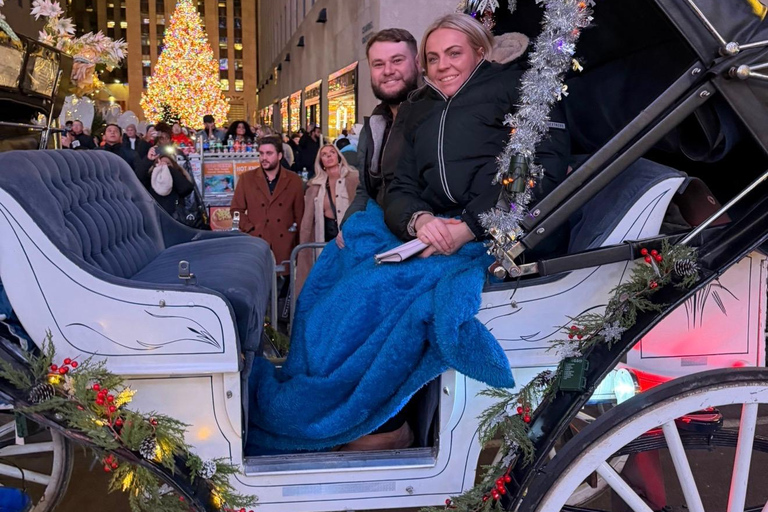 NYC: Central Park Christmas Lights Horse-Drawn Carriage Ride