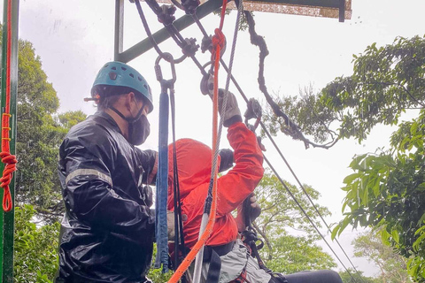 Zanzibar: Masingini Forest, Monkeys & Zipline adventure Masingini Forest, Monkeys & Zipline adventure & transfer