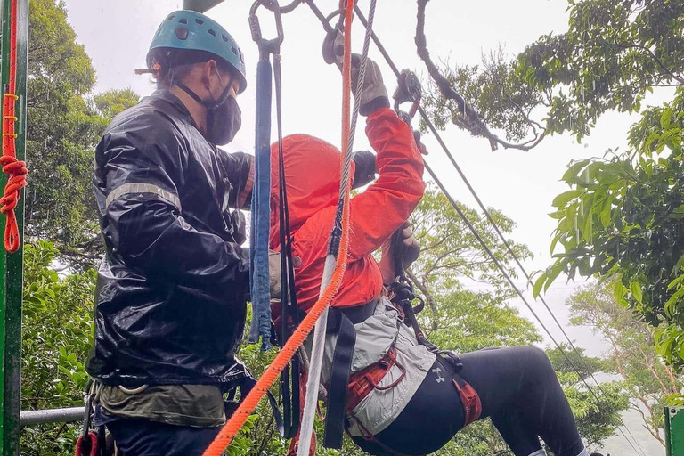 Zanzibar: Masingini Forest, Monkeys & Zipline adventure Masingini Forest, Monkeys & Zipline adventure & transfer