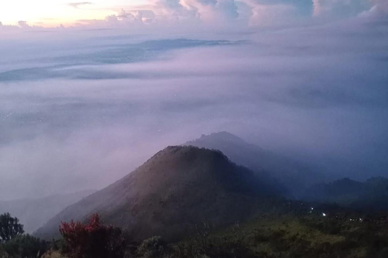 Yogyakarta: Mount Merbabu Hiking adventure Day Hiking with Guide