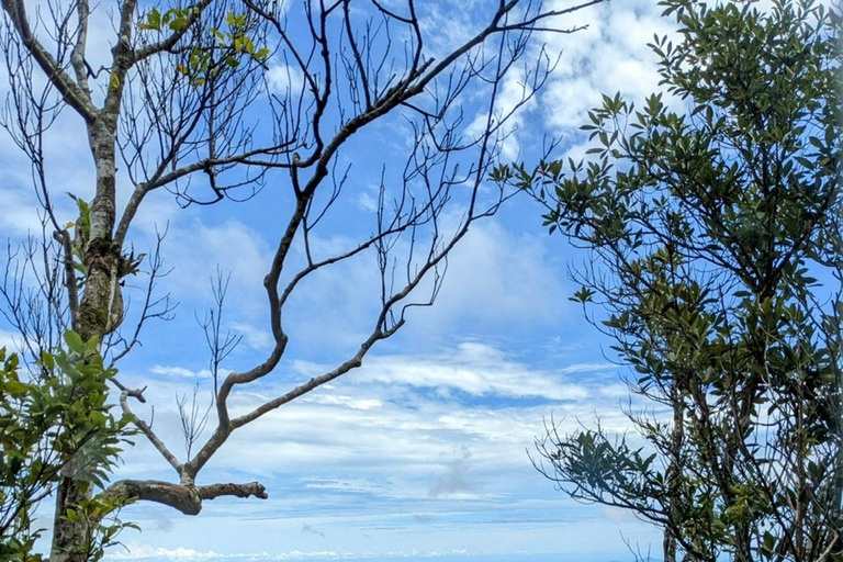 Da Nang/ Hoi An: Excursión de un día a las Colinas de BaNa - Puente DoradoGrupo reducido sin almuerzo buffet