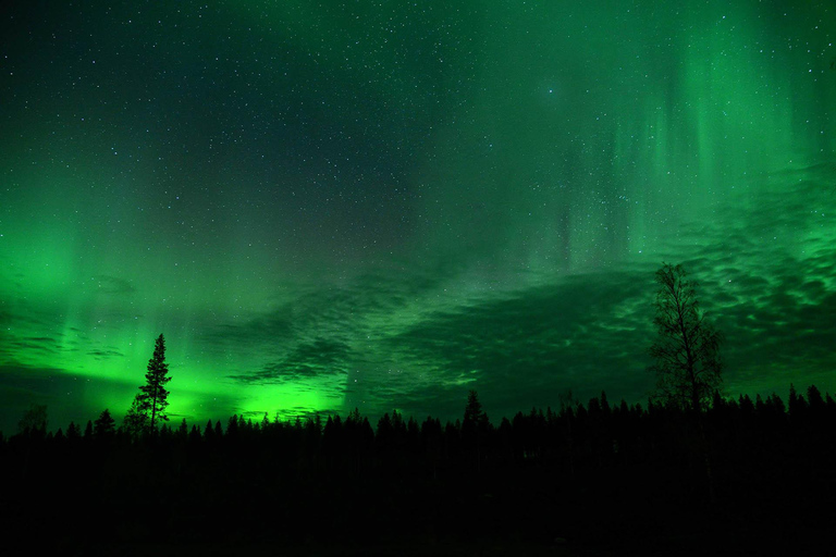 Rovaniemi: Comboio da Aurora para o Wilderness Camp