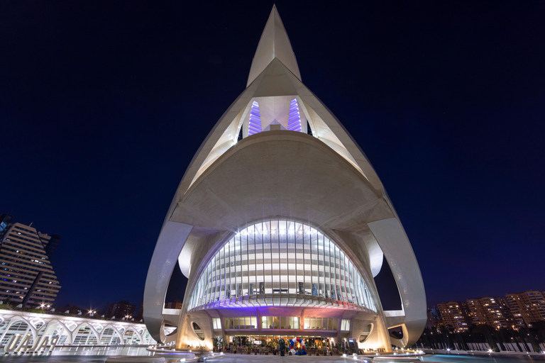 Valencia: Admission - Visit the Palau de Les Arts with a tour guide Valencia: Visit the Palau de Les Arts with an English tour guide