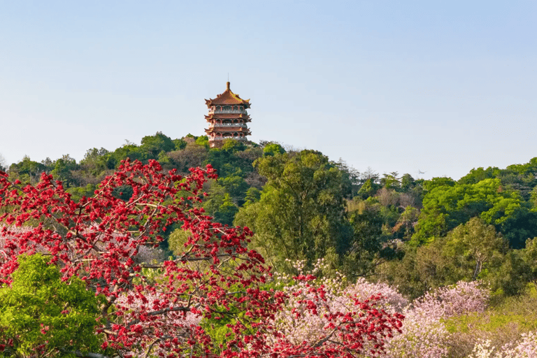 Guangzhou: tour privato della città con pranzo dim sum