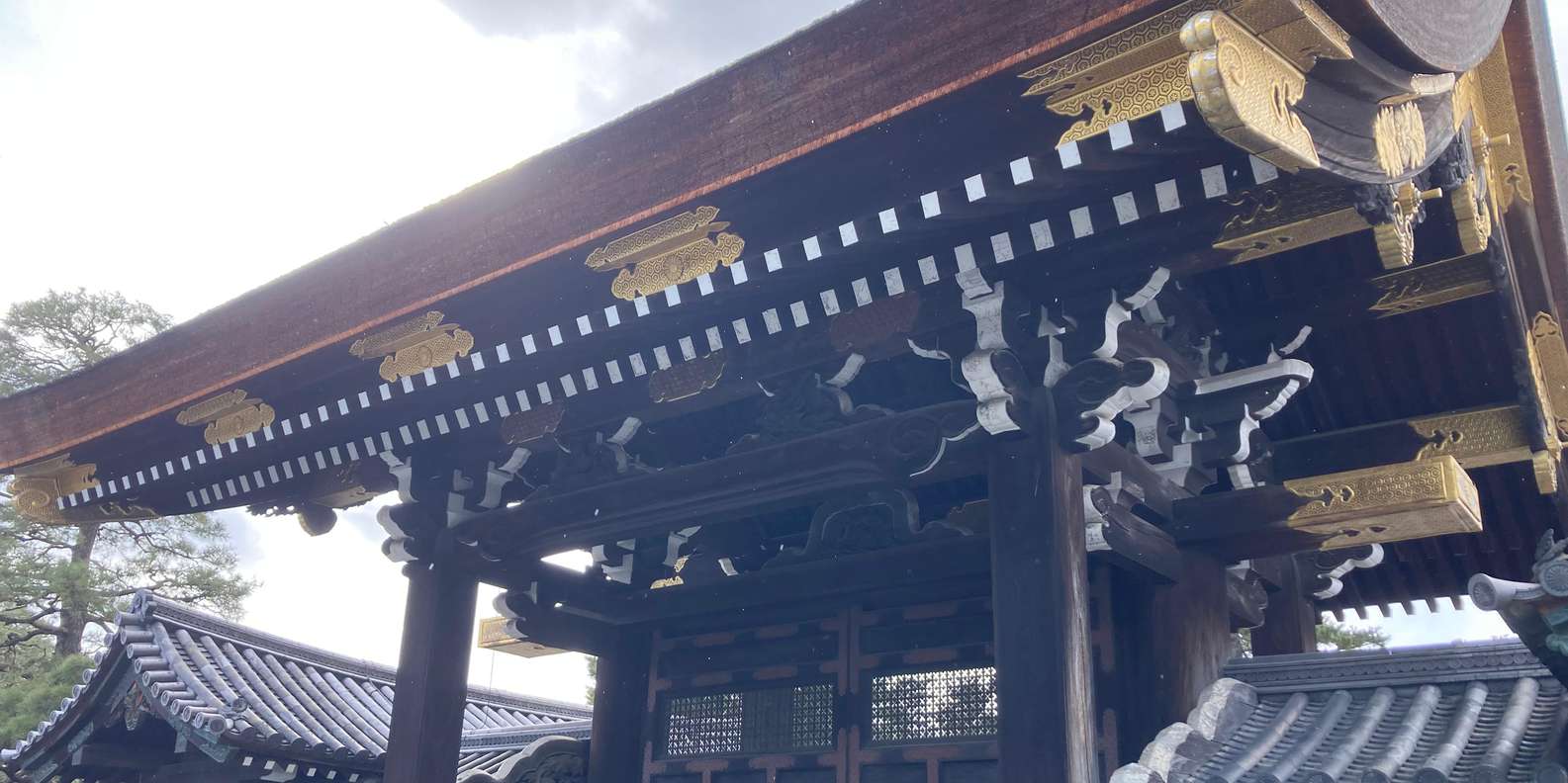 Kyoto: Nijo Castle and Kyoto Imperial Palace Guided Tour