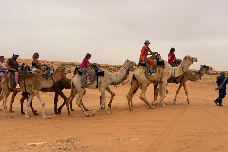 Ksar Ghilane, Tunisia: Sahara Desert 4x4 Tour & Oasis