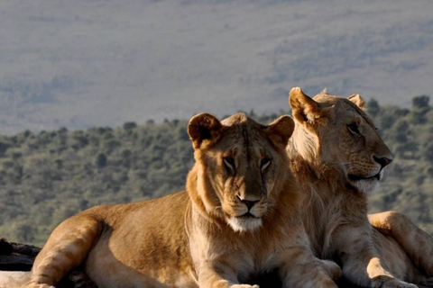 2 JOURS AU SANCTUAIRE DES JEUX DE TAITA HILLS