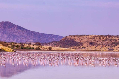 From Nairobi: Lake Magadi 2-Day Trip with Game Drive & Hike