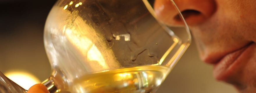 Excursão de meio dia com degustação de vinhos da Borgonha em Beaune, saindo de Dijon