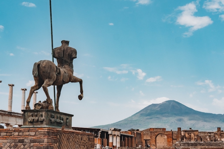 Desde Nápoles: Excursión de un día a Pompeya, Herculano y el Vesubio